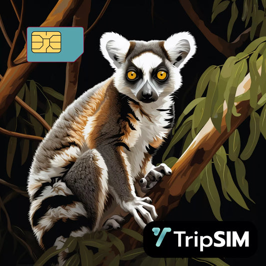 eSIM Madagascar